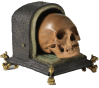 skull